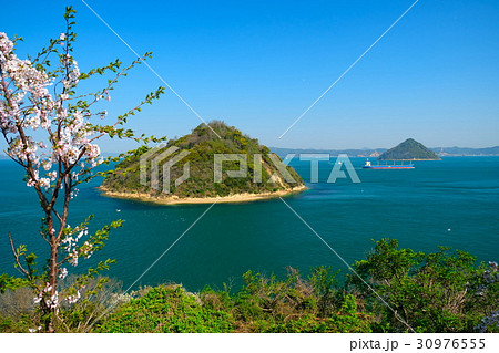 瀬戸内海の小槌島 30976555
