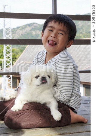 犬を抱く男の子 犬を抱く男の子 30976558