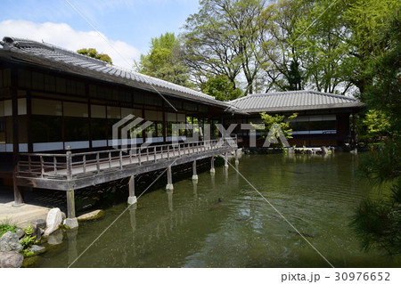 東本願寺渉成園 30976652