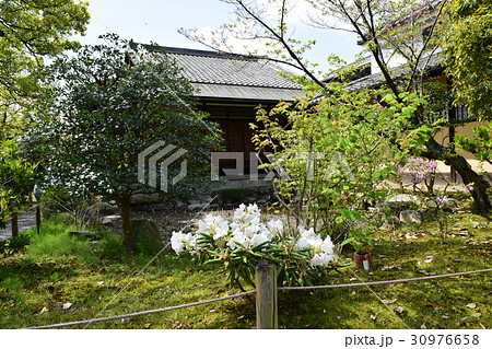 東本願寺渉成園 30976658