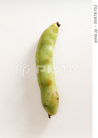 そら豆 そら豆 30976702