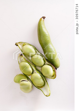 そら豆 30976714
