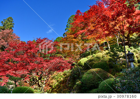 湖東三山金剛輪寺紅葉 湖東三山金剛輪寺紅葉 30978160