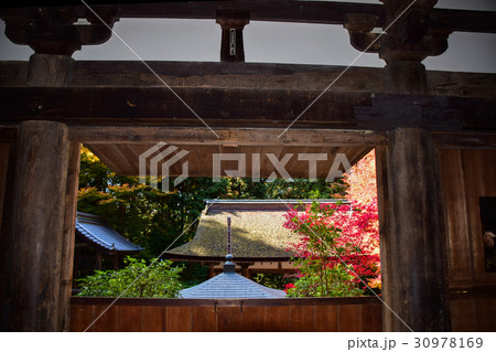 湖東三山金剛輪寺紅葉 湖東三山金剛輪寺紅葉 30978169