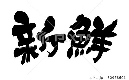 筆文字素材の手書きの【新鮮】墨で書いたイラスト 30978601