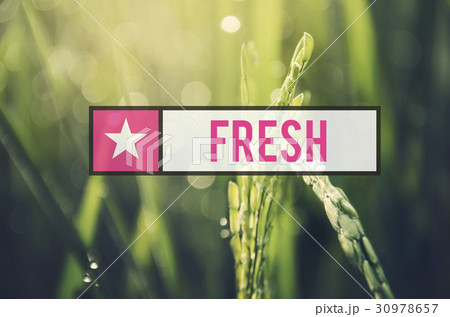 Alternative Farming Sustainable Nature Concept 30978657