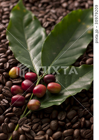 Coffee Time 30979209