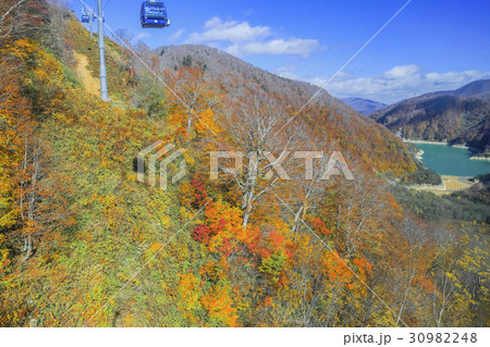 秋の田代湖とゴンドラ 秋の田代湖とゴンドラ 30982248