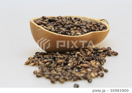 茶色 ヌキ 切り抜き 30983900