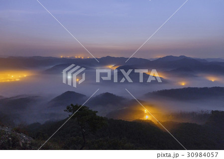 雲 グクサボン 木 30984057