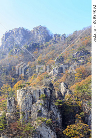 秋 木 紅葉 30984092