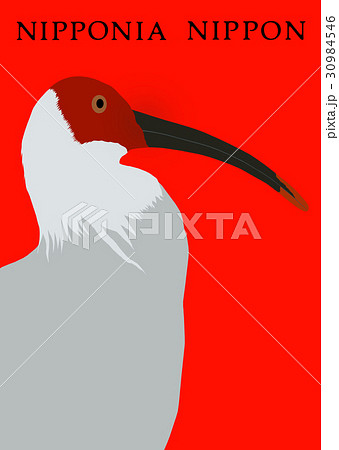 朱鷺 朱鷺 30984546