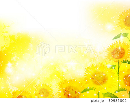 ひまわり 夏 風景 背景 のイラスト素材 30985002 Pixta