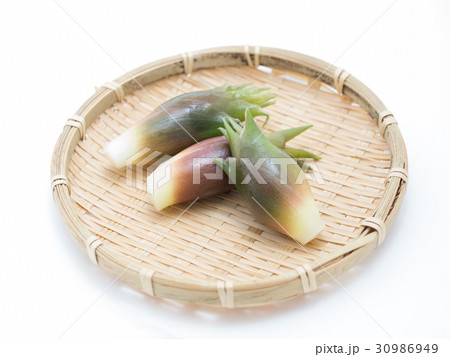 茗荷 茗荷 30986949