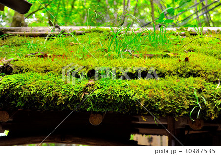京都の旅 京都の旅 30987535