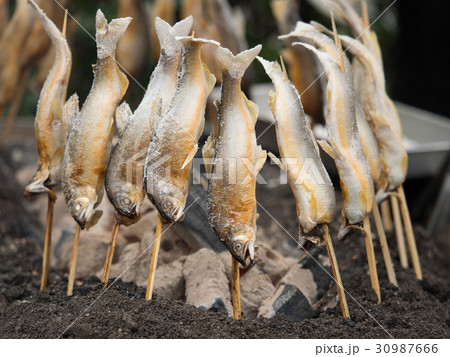 鮎の塩焼き 30987666