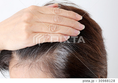 白髪　パーツ　女性 30988128