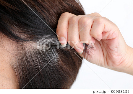 白髪 パーツ 女性 白髪 パーツ 女性 30988135