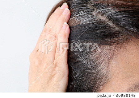 ミドル女性　白髪 30988148