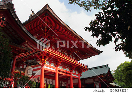 滋賀　近江神宮　楼門 30988834