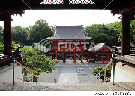 滋賀　近江神宮　楼門 30988836