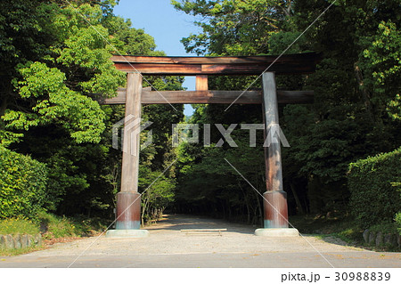 滋賀　近江神宮　一の鳥居 30988839