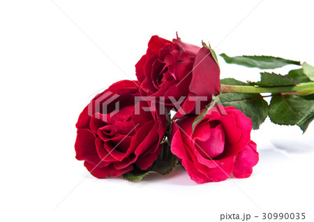 Red roses isolated on white background. 30990035