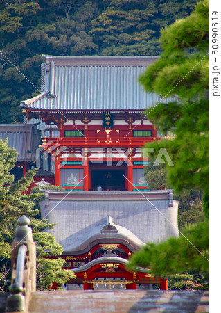 鶴岡八幡宮・舞殿・本宮(鎌倉市) 鶴岡八幡宮・舞殿・本宮(鎌倉市) 30990319