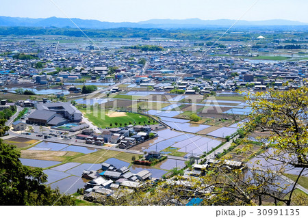 東近江の水田風景 東近江の水田風景 30991135