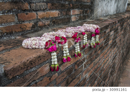 Jasmine garland on red brick wall 30991161