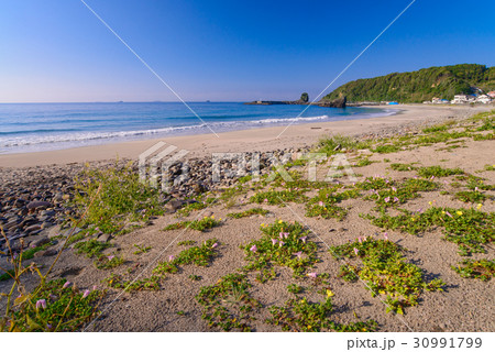 【伊豆下田】田牛(とうじ)海水浴場 【伊豆下田】田牛(とうじ)海水浴場 30991799