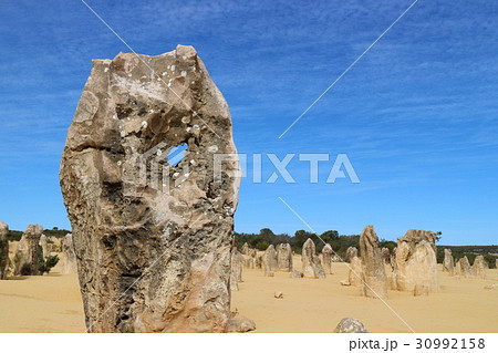 ピナクルズ ピナクルズ 30992158