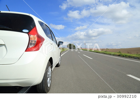 北海道　美瑛町　車とセブンスターの木　 30992210