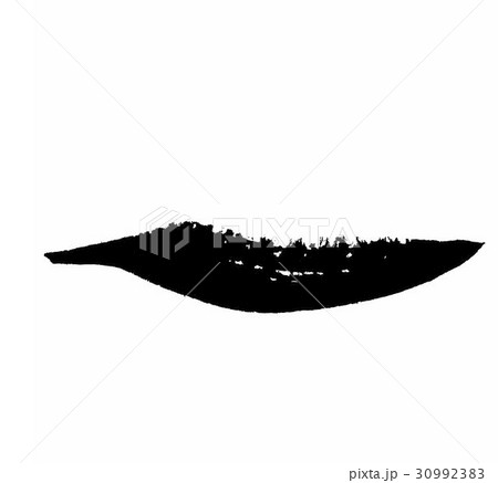 Grunge Brush Stroke set Grunge Brush Stroke set 30992383