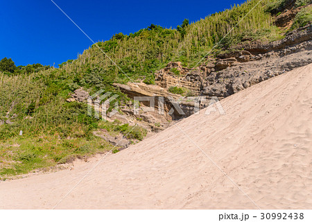 【伊豆下田】田牛の天然サンドスキー場 【伊豆下田】田牛の天然サンドスキー場 30992438