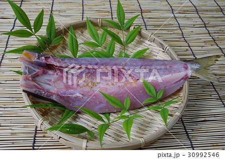 カマスの開き 30992546