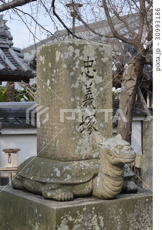忠義塚（花岳寺／兵庫県赤穂市加里屋1992） 30993186