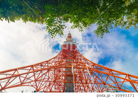 Tokyo tower on sunny day blue sky with green tree Tokyo tower on sunny day blue sky with green tree 30993371