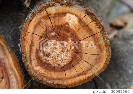 Wooden background. Firewood stacked 30993566