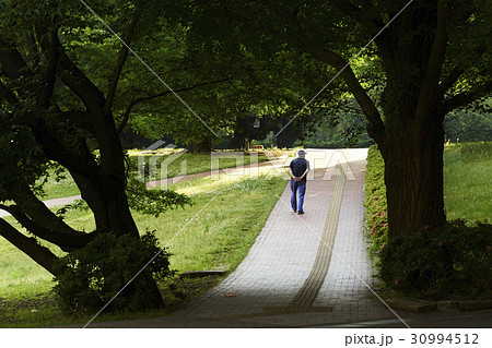 ライフスタイル　散歩 30994512