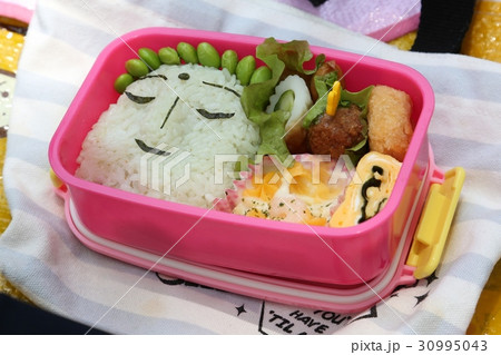 お弁当 お弁当 30995043