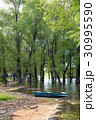 Old wooden fishing boat near the summer lake shore 30995590