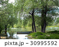 Old wooden fishing boat near the summer lake shore 30995592