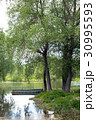Old wooden fishing boat near the summer lake shore 30995593