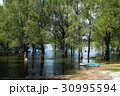Old wooden fishing boat near the summer lake shore 30995594