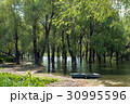 Old wooden fishing boat near the summer lake shore 30995596