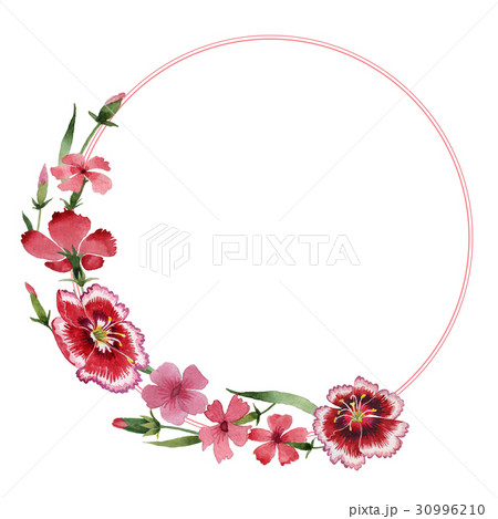 Wildflower carnation flower frame in a watercolor Wildflower carnation flower frame in a watercolor 30996210