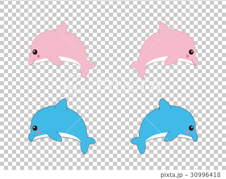 Dolphin Dolphin 30996418