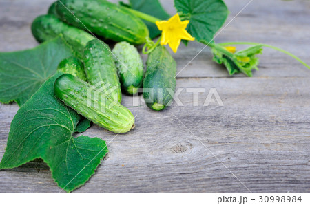 Fresh cucumbers on the wooden table outdoor Fresh cucumbers on the wooden table outdoor 30998984