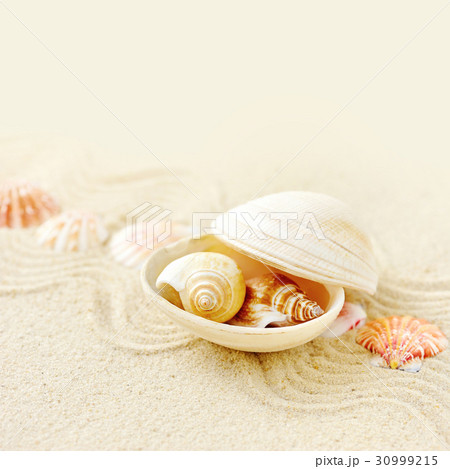 Sea shells with sand as background 30999215